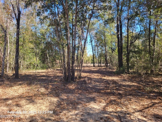 NW WES LN, ALTHA, FL 32421 - Image 52ace2ff7af742e6c405ffc1d8241492/3587745152