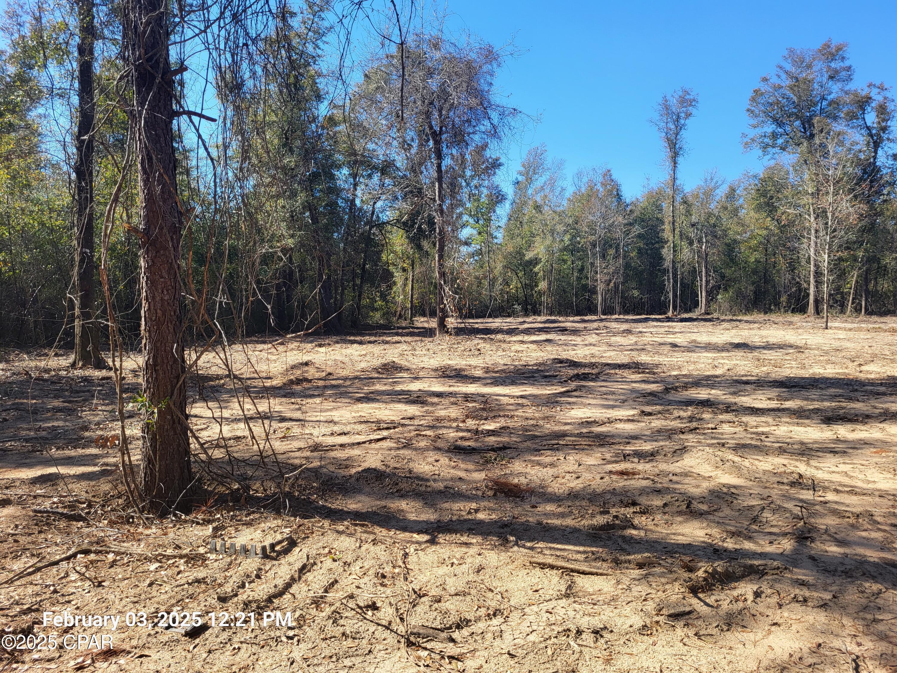 White Pond Plantation - Land