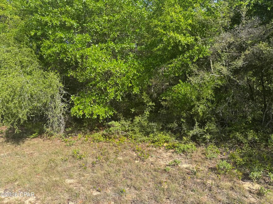 Nice wooded building lot in South Washington County . Property is 45 minutes to the World's Most Beautiful Beaches and Northwest Florida International  Airport . Sunny Hills offers a fantastic golf course, several Lakes to enjoy swimming, fishing and boating.