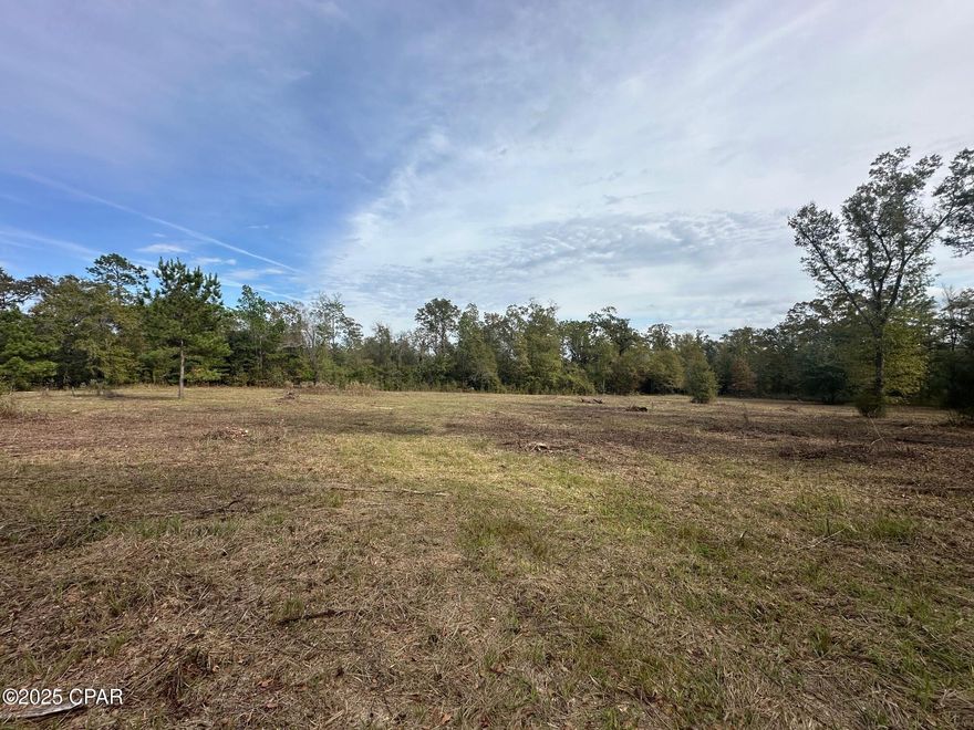Located just off HWY 90 this 7.4 acres already has a well and septic.  Ready to build and create your own retreat.  Survey may be provided.  Cleared area in the front, with woods in the back.  34,000-acre Lake Seminole is just a few miles away where you can enjoy world class fishing as well as hunting options.  Down Mohawk Trail you will feel like Country living, but not too far from the city.    Call today for your appointment!!