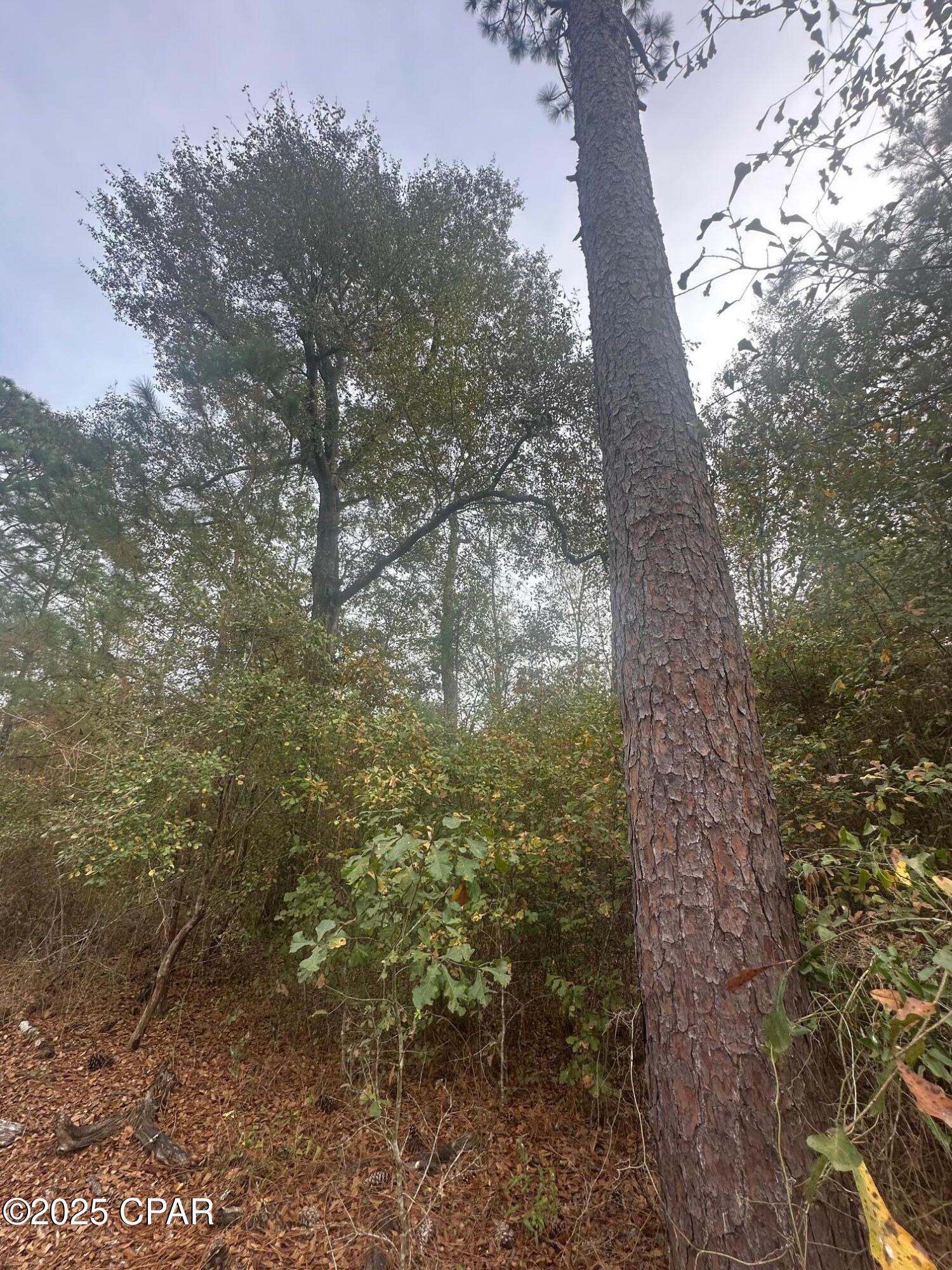 [No Recorded Subdiv] - Land