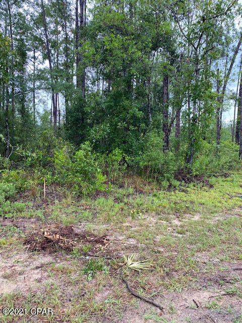 Compass Lake Hills Unit 5 - Land