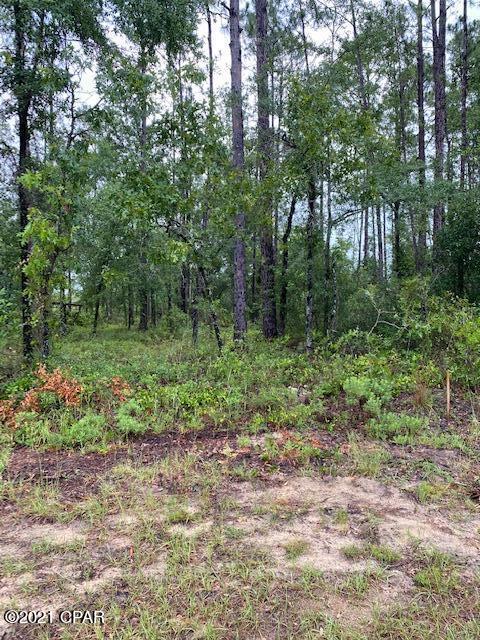 Compass Lake Hills Unit 5 - Land