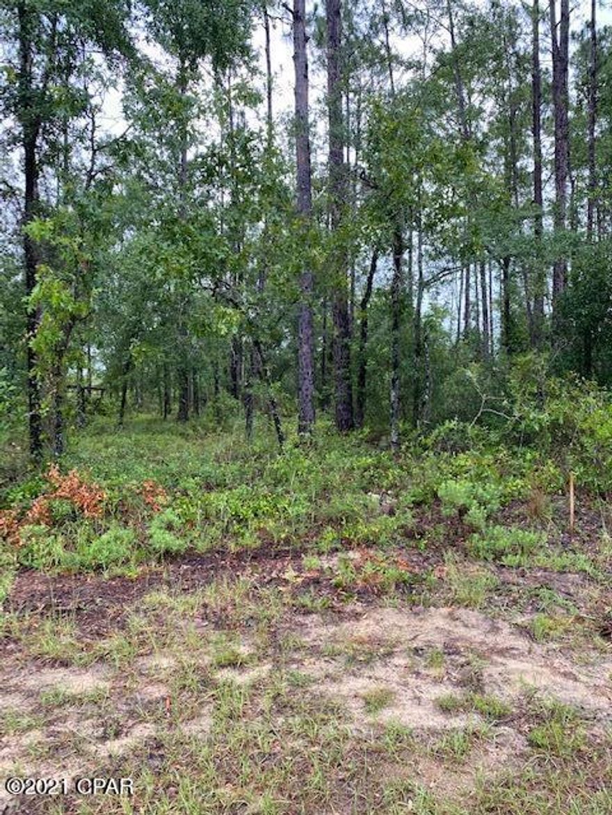 Nice lot on paved road in Compass Lake in the Hills.