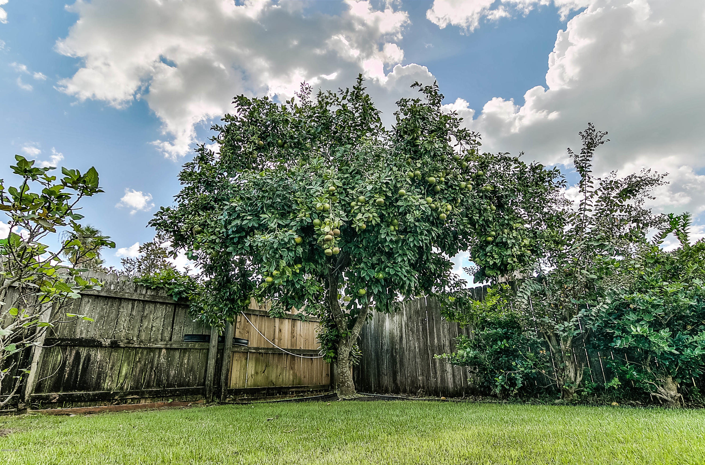 Fernwood Park - Residential