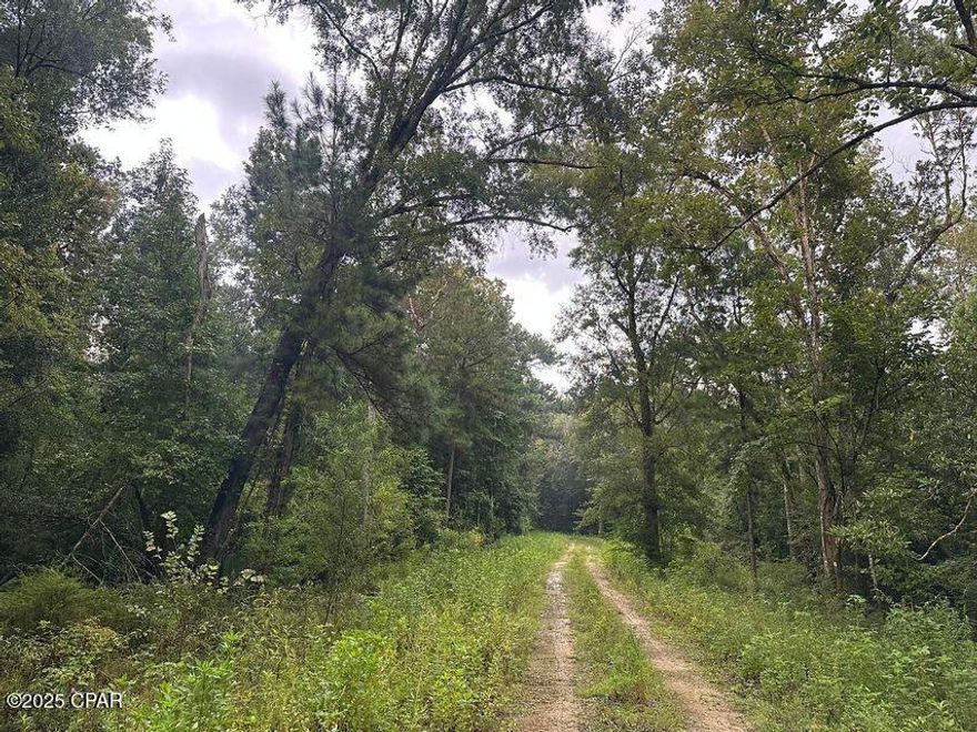Entered for comp purposes only
In Gulf County's Wewahitchka, this property is positioned in a community served by the Brothers River, which connects to the Apalachicola River. It's a place to launch for a day of fishing or cruising, with the land providing open ground for a variety of future uses. This lot will require county approval for a septic tank.