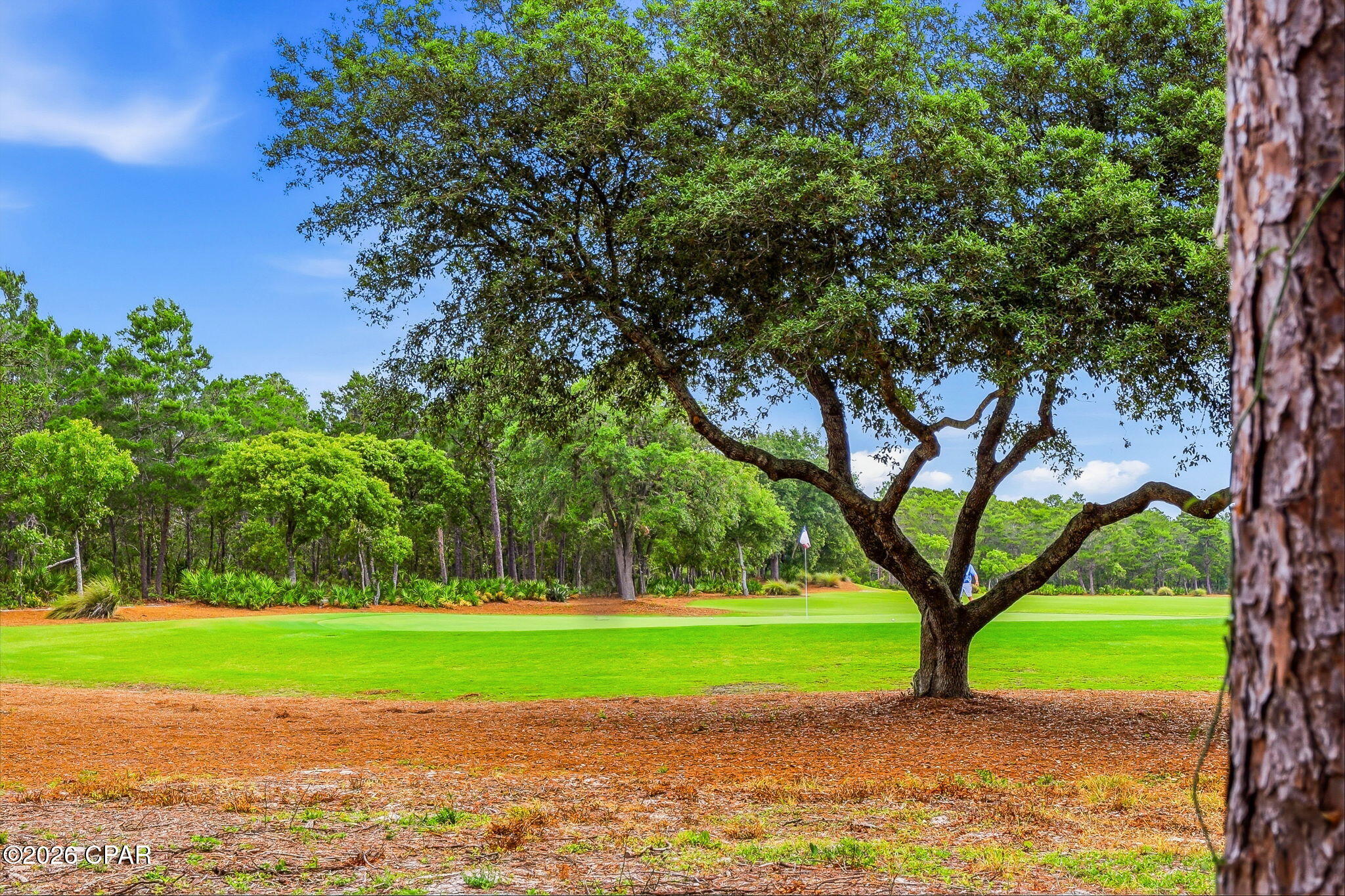 Clubside At Wild Heron Phase III - Residential