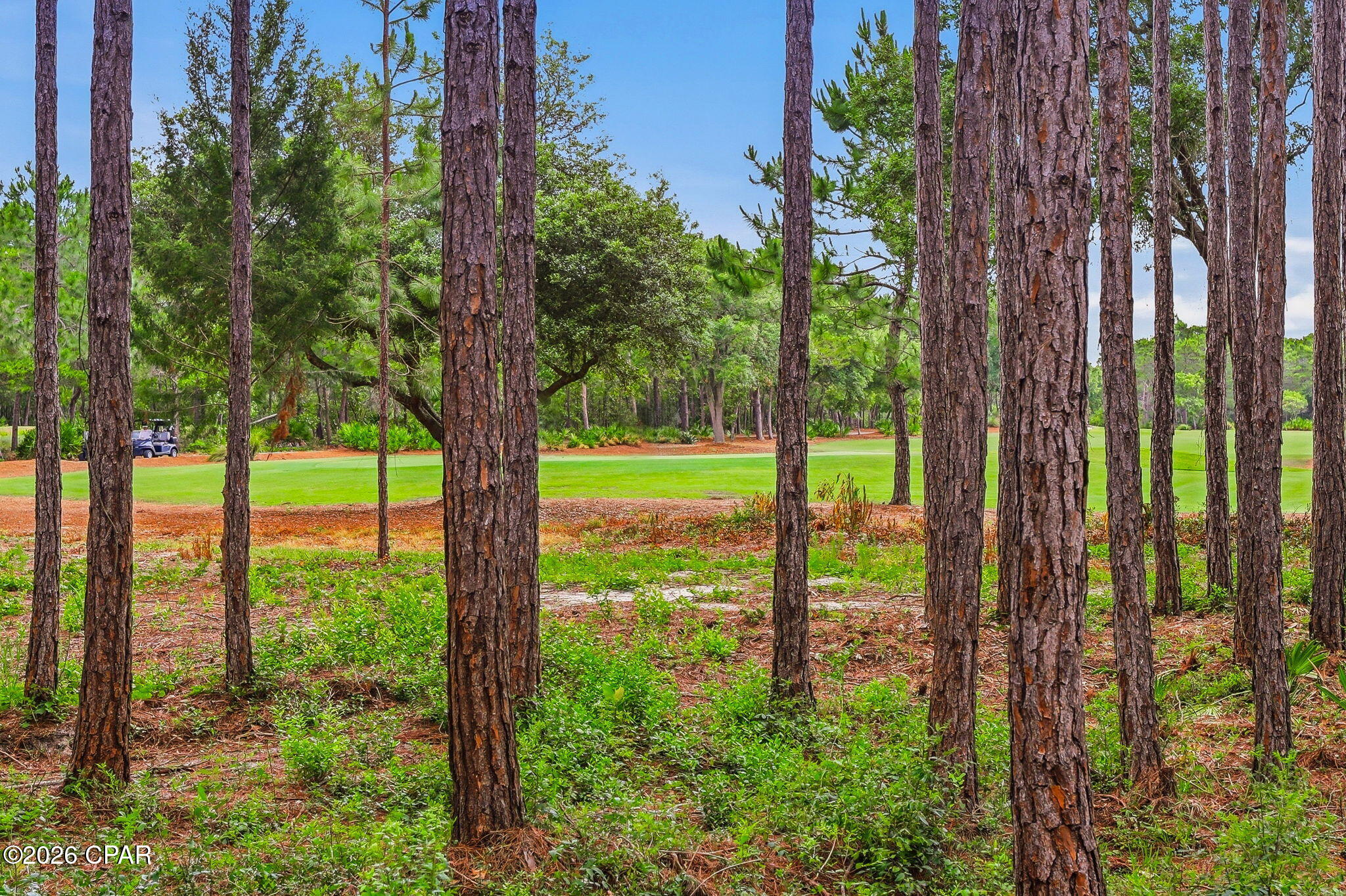 Clubside At Wild Heron Phase III - Residential