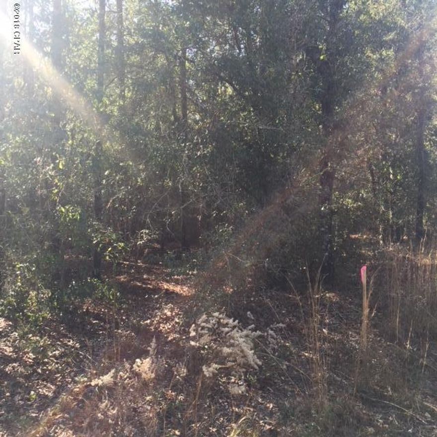 10 wooded acres 3/10ths of a mile off of Lovedale Rd, a paved highway in the country, but not too far from town.  It would make a great home site with land to play on or farm.