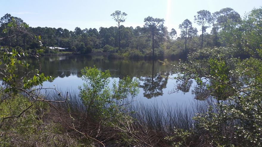 Lot #39 Seller will Owner Finance! Must close by December 15. Huge Price Reduction! Seller says it must sell by December. Bring all offers!! This is one of the best waterfront properties you will find anywhere. It has TRUE dockable, deepwater access and YEAR round water deep enough for sailboats. No worries of being stranded because of low tides and having limited water access due to low bridges. This homesite also offers some of the best elevations in the entire community. Laird Point is a gated waterfront community that offers bay and bayou views at every turn. This homesite has beautiful trees and offers 143' of waterfrontage. Build your dock and still have room for breathtaking views. Lenders are offering loans with only 10% down. Purhase now and have your place to build your dream home when the time is right. Call today to schedule a private tour of this homesite and Laird Point.