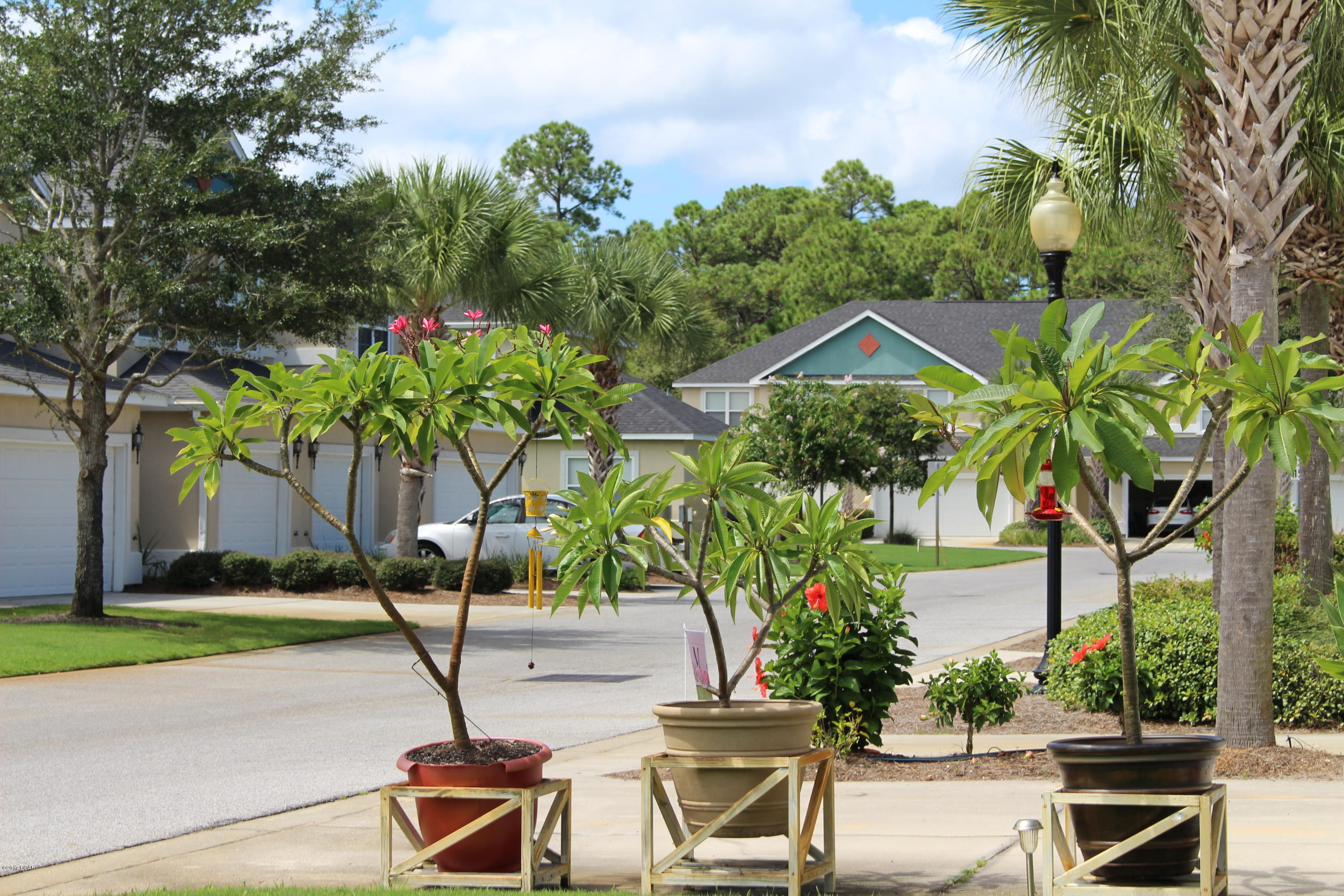 Annabella's Townhomes - Residential