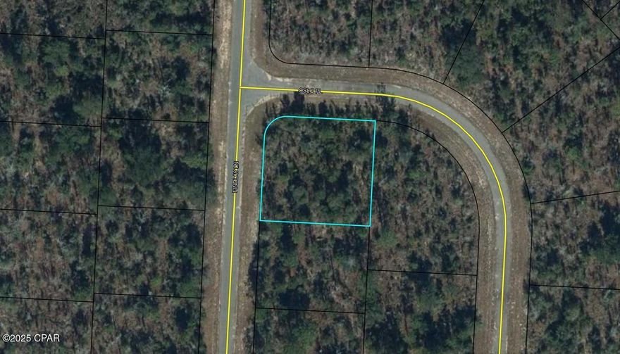 Nice corner building lot in the Sunny Hills community. Lot is located close to the popular and affordable 18 hole public golf course. There are several prominent builders currently building and selling homes here. The growth is currently pushing north out of Panama City. Sunny Hills also features many fine fishing lakes. This is a deed restricted community (no mobile homes). Best of all there is no HOA. Water and electric is available at the lot. Buyer to pay title insurance, closing fee, and doc stamps on the deed.