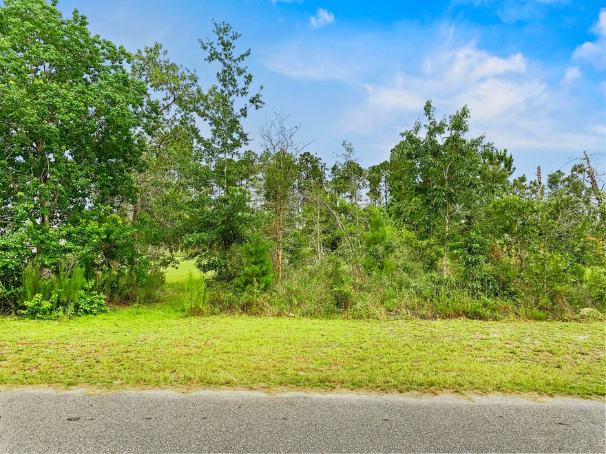 White Oaks is secluded while being upscale and having no HOA! This family friendly neighborhood is just minutes from Deane Bozeman, Econfina Creek, Panama City's International Airport or town. Great for a growing family!
