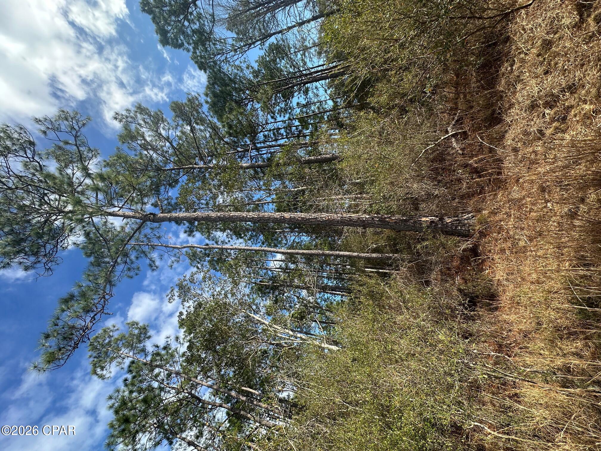 [No Recorded Subdiv] - Land