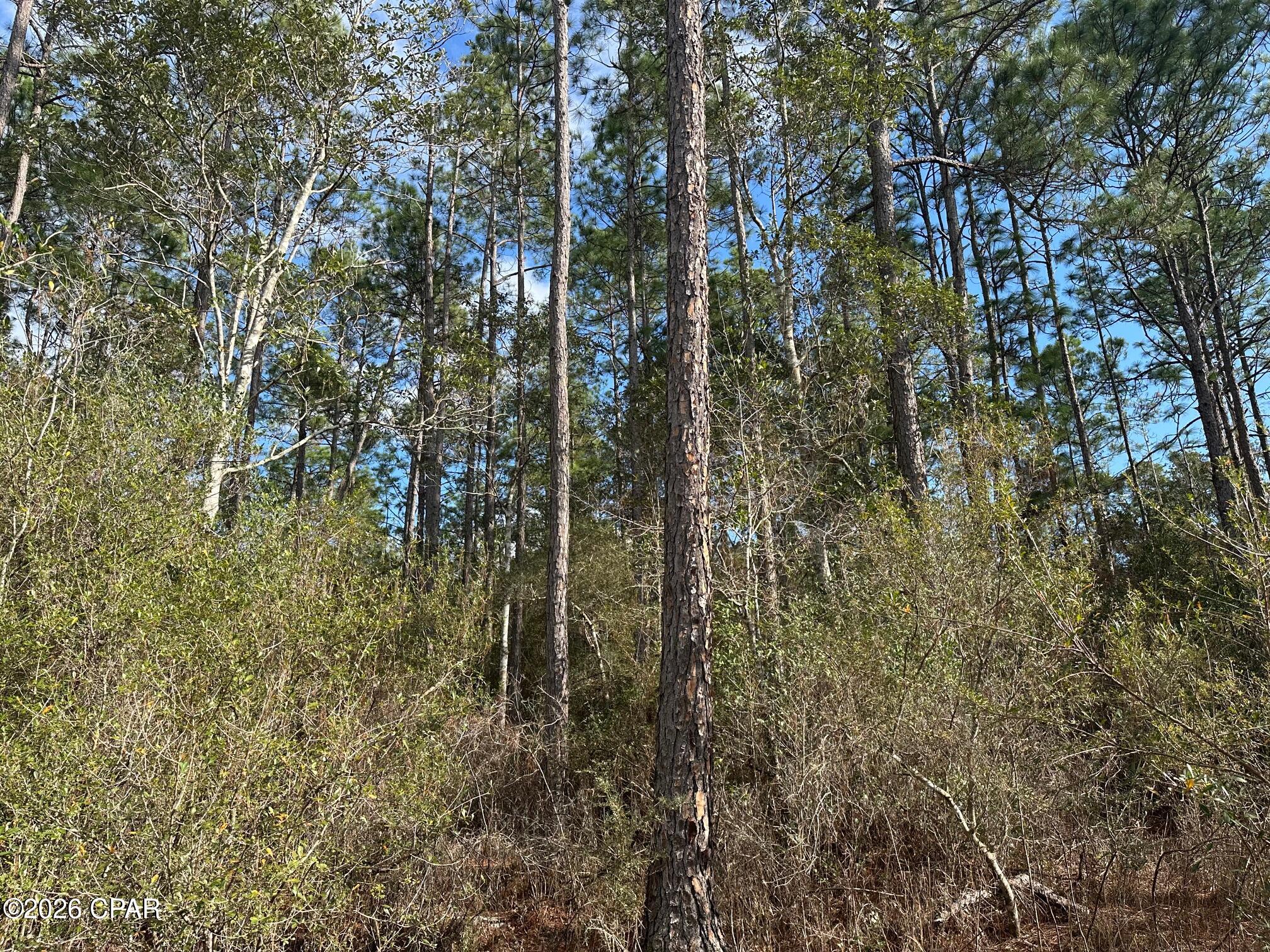 [No Recorded Subdiv] - Land