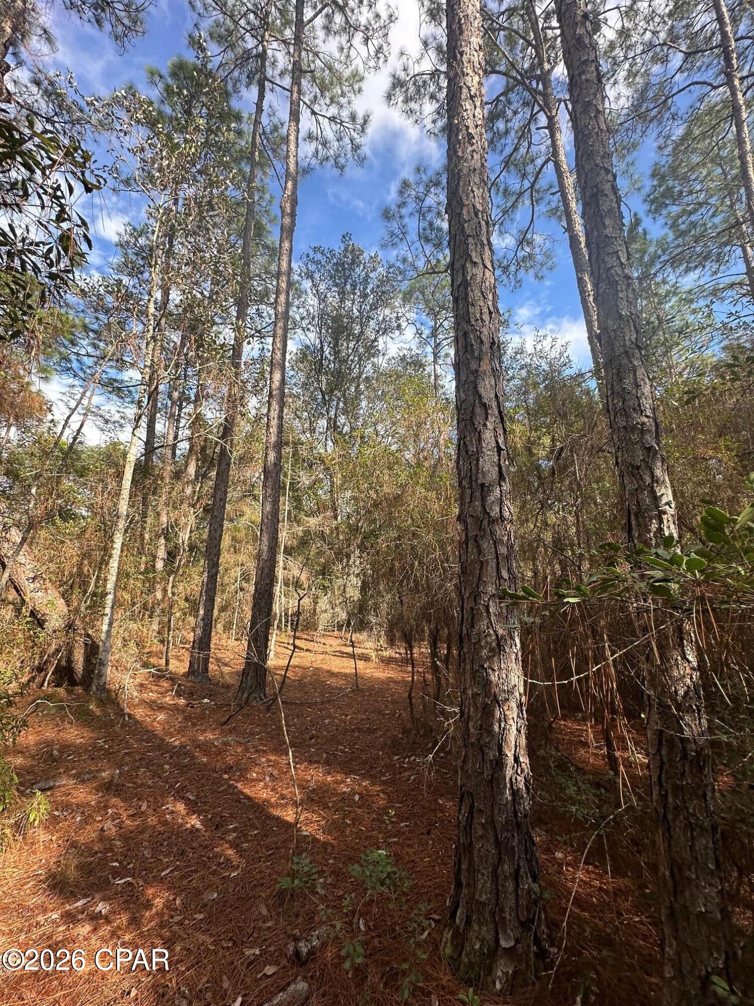 [No Recorded Subdiv] - Land