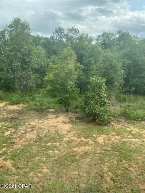 Payne Lakes Phase Two - Residential