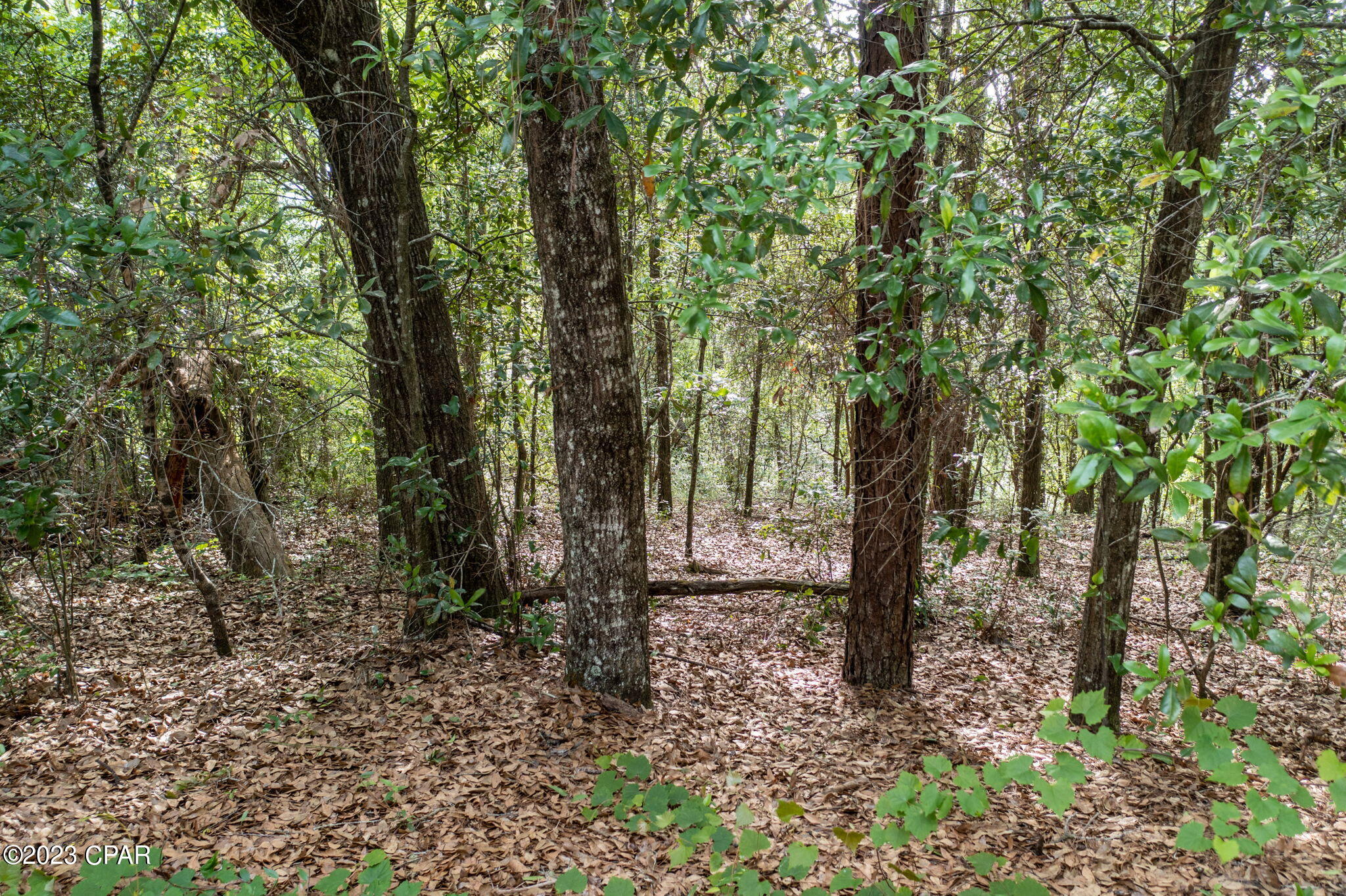 Leisure Lakes - Land