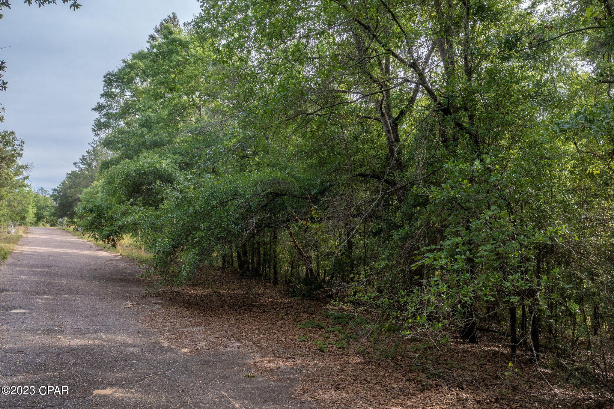 Leisure Lakes - Land