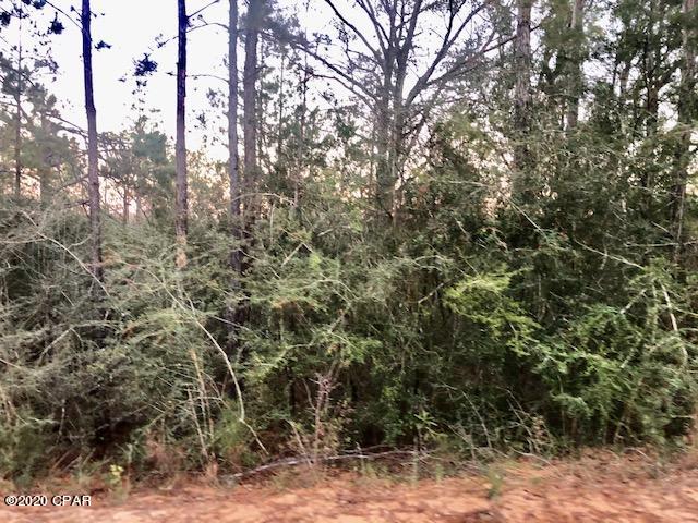 Compass Lake Hills Unit 5 - Land