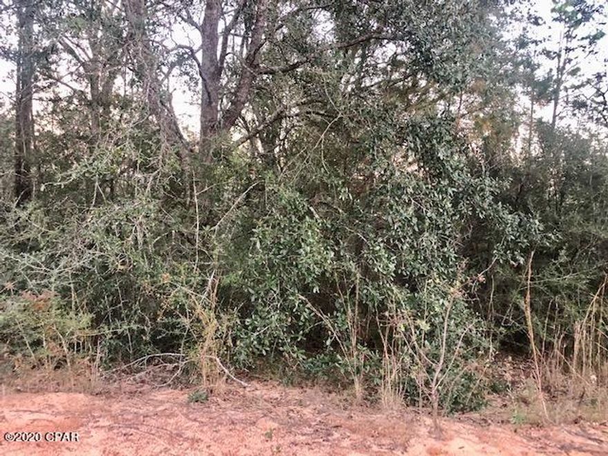 Nicely wooded residential lot in Compass Lake in the Hills where you have access to nice amenities that include access to two lakes, clubhouse facilities, RV Parking facilities, golf driving range and much more!  This lot is ideal for watching all kinds of wildlife in the area.