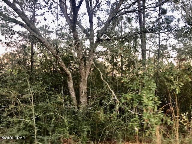 Compass Lake Hills Unit 5 - Land