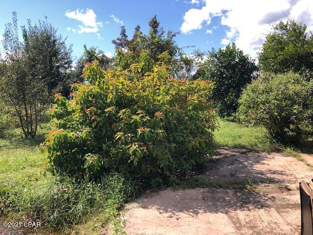 Lynn Haven - Residential