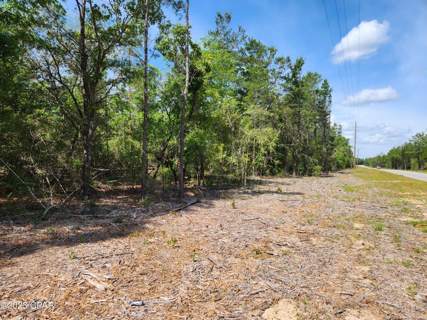 Under Contract - Seller Will consider Back-up Offer - 5+ Acre Lot for sale, located in beautiful N. Walton County in NW Florida.  Less than 30 miles to the Beautiful Emerald Coast beaches of the Gulf of Mexico!!  Conveniently located only 12 miles from I-10.  Close drive to shopping, yet you still have space with this 5+ acre lot! This area is growing!! Look into this area, while it is still an unknown treasure.  Lock in your spot NOW!!