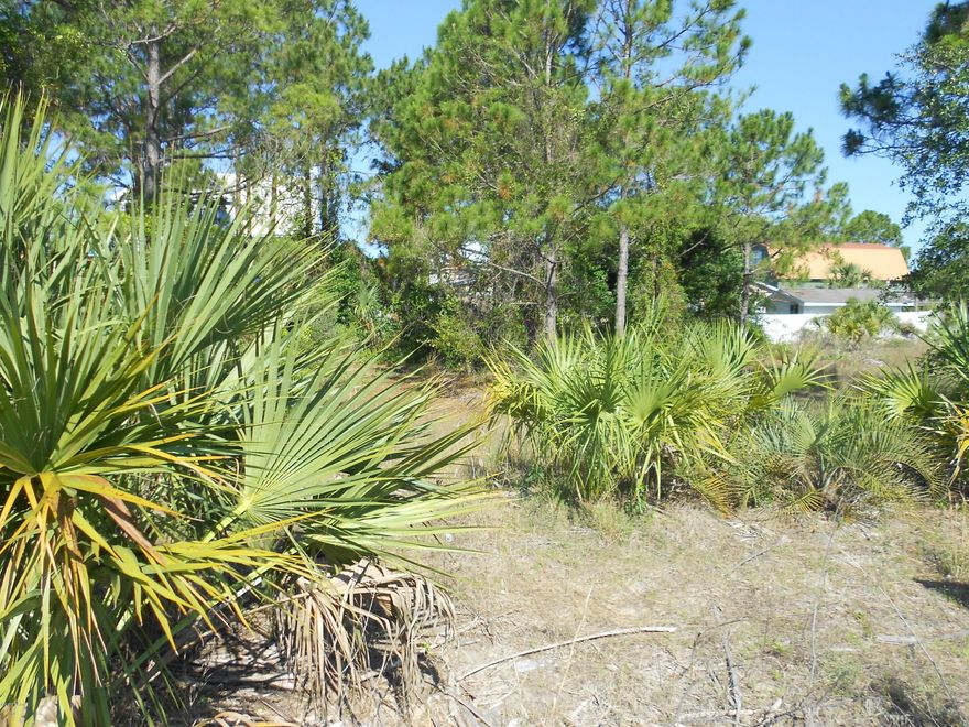 What we have here is two lots side by side (making two 50x112 lots)on one parcel. As of now there is the only one address or someone buy it for their new home on an extra large lot for the area. Taurus street is a very short street with only these two lots and another home, with Taurus dropping off on South Lagoon and just a short walk to the boat ramp. If you have a builder client great opportunity to sell both lots at once. New construction in this area is moving quickly and these lots are somewhat bordered by brand new homes.