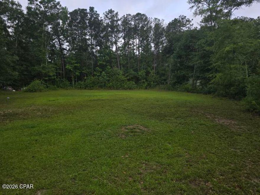 Great .46+/- acre lot located in Vernon. Lot is mostly cleared and perfect for your new home or mobile home. Close to Hwy 79 for easy commute to Panama City Beach to the south and I--10 to the north.