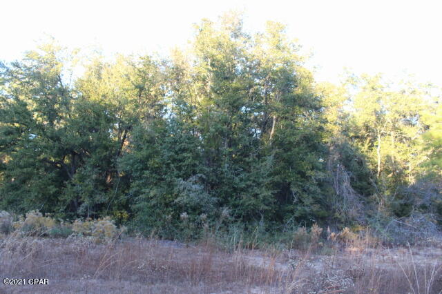 Compass Lake Hills Unit 1 - Land