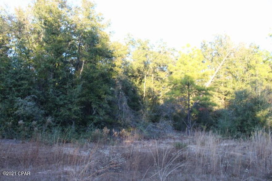 Wooded lot that appears to be high and dry. Located in Flood Zone X. Close drive to Nortek Blvd to Hwy 167. Electric available. Join the POA for $135. annually to have access to all the amenities which include access to the clubhouse & inground pool, access to the lakes, tennis courts, and more. The membership is not mandatory.  Nice homes in the area.