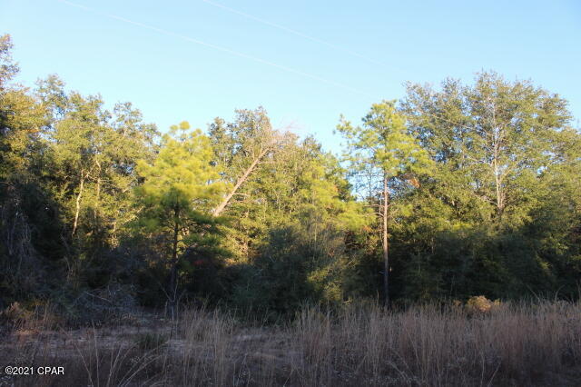 Compass Lake Hills Unit 1 - Land