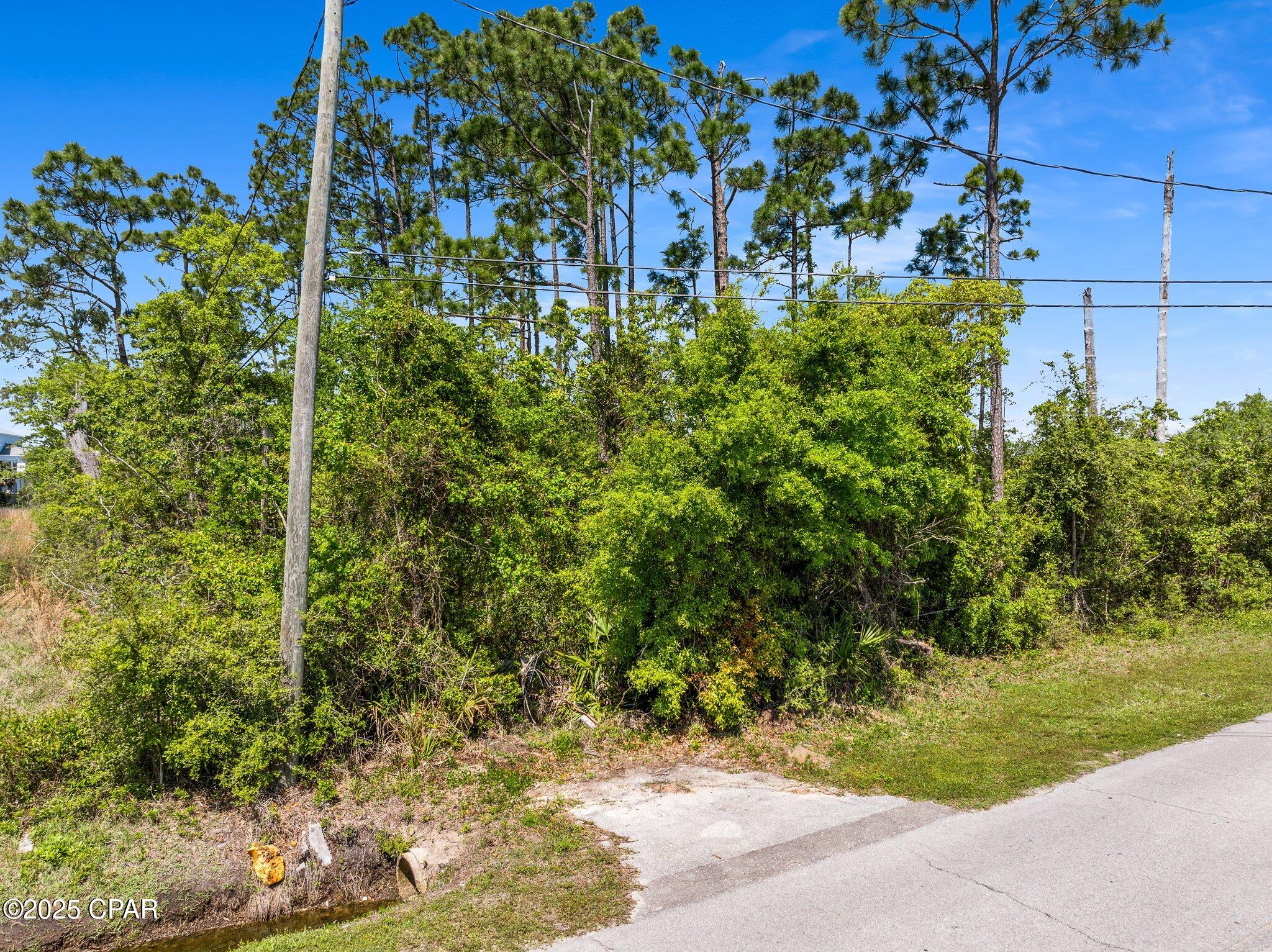 East Bay Park - Land