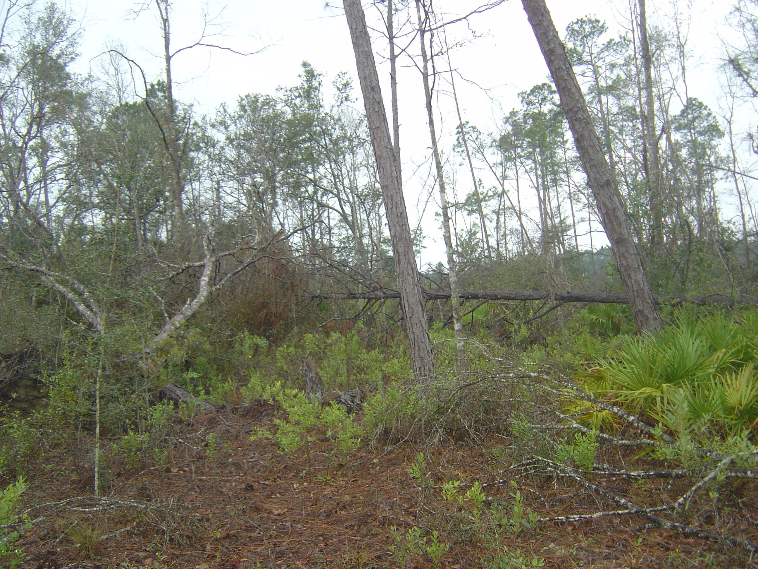 Compass Lake Hills Unit 2 - Land