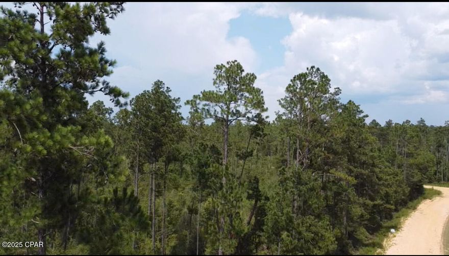 Escape to the serene lifestyle of Northwest Florida with1.25-acre raw land nestled in the sought-after Compass Lake in the Hills community. Located less than a mile from private McCormick Lake, this high and dry parcel offers a beautiful natural setting ideal for your dream home or weekend retreat.

Enjoy the benefits of a voluntary HOA that includes access to the community's main lodge, swimming pool, tennis courts, and more. As a property owner, you'll have exclusive access to McCormick Lake—perfect for fishing, swimming, kayaking, and canoeing.

Centrally located:
15 minutes south of I-10 in Marianna
40 minutes north of Panama City's shopping, entertainment, and Gulf beaches

Whether you're looking to build now or invest for the future, this slice of Florida paradise offers the perfect blend of peaceful country living and easy access to coastal amenities. Come enjoy the quiet, peaceful lifestyle Compass Lake is known for!

Purchase your next investment today!