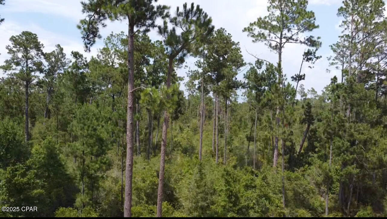 Compass Lake Hills Unit 4 - Land