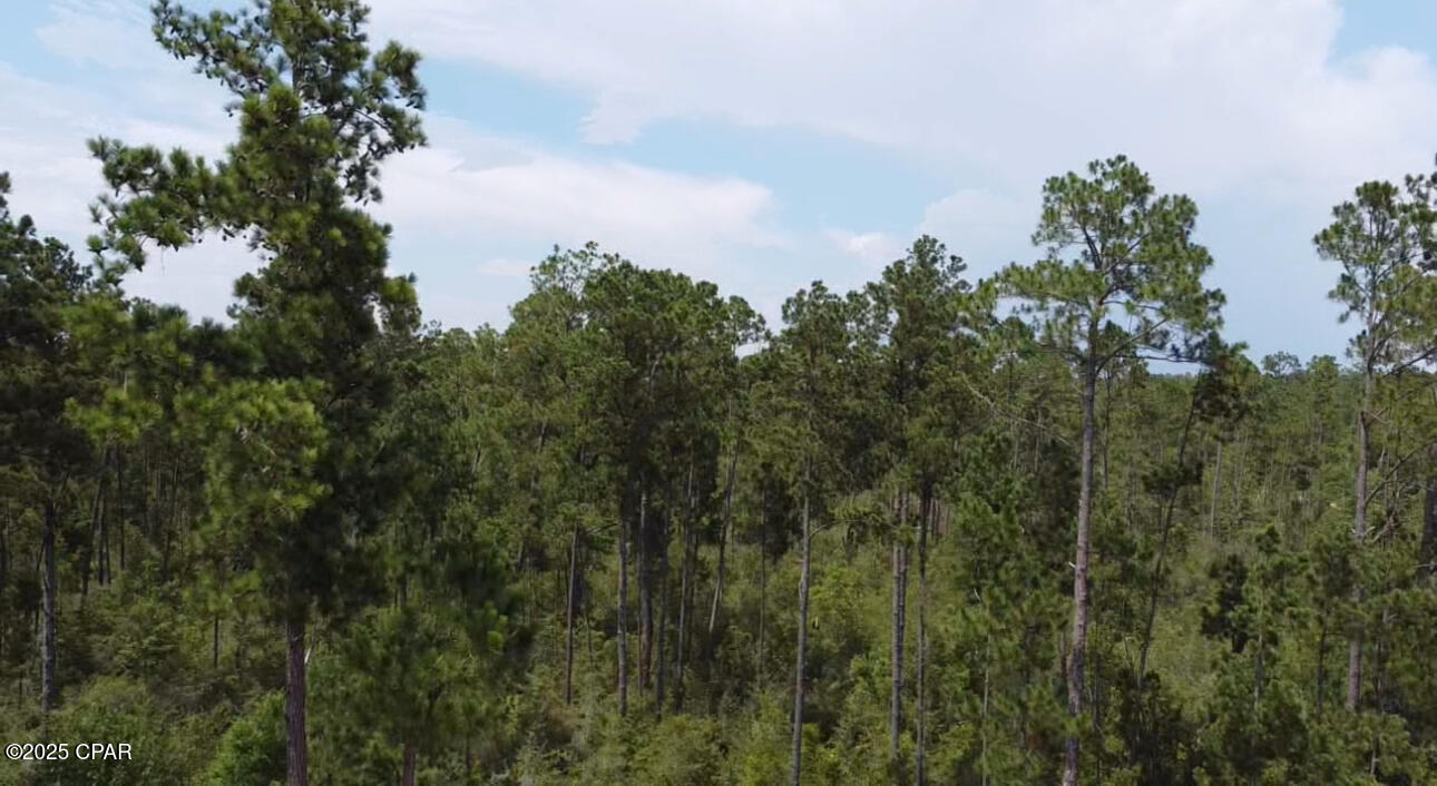 Compass Lake Hills Unit 4 - Land