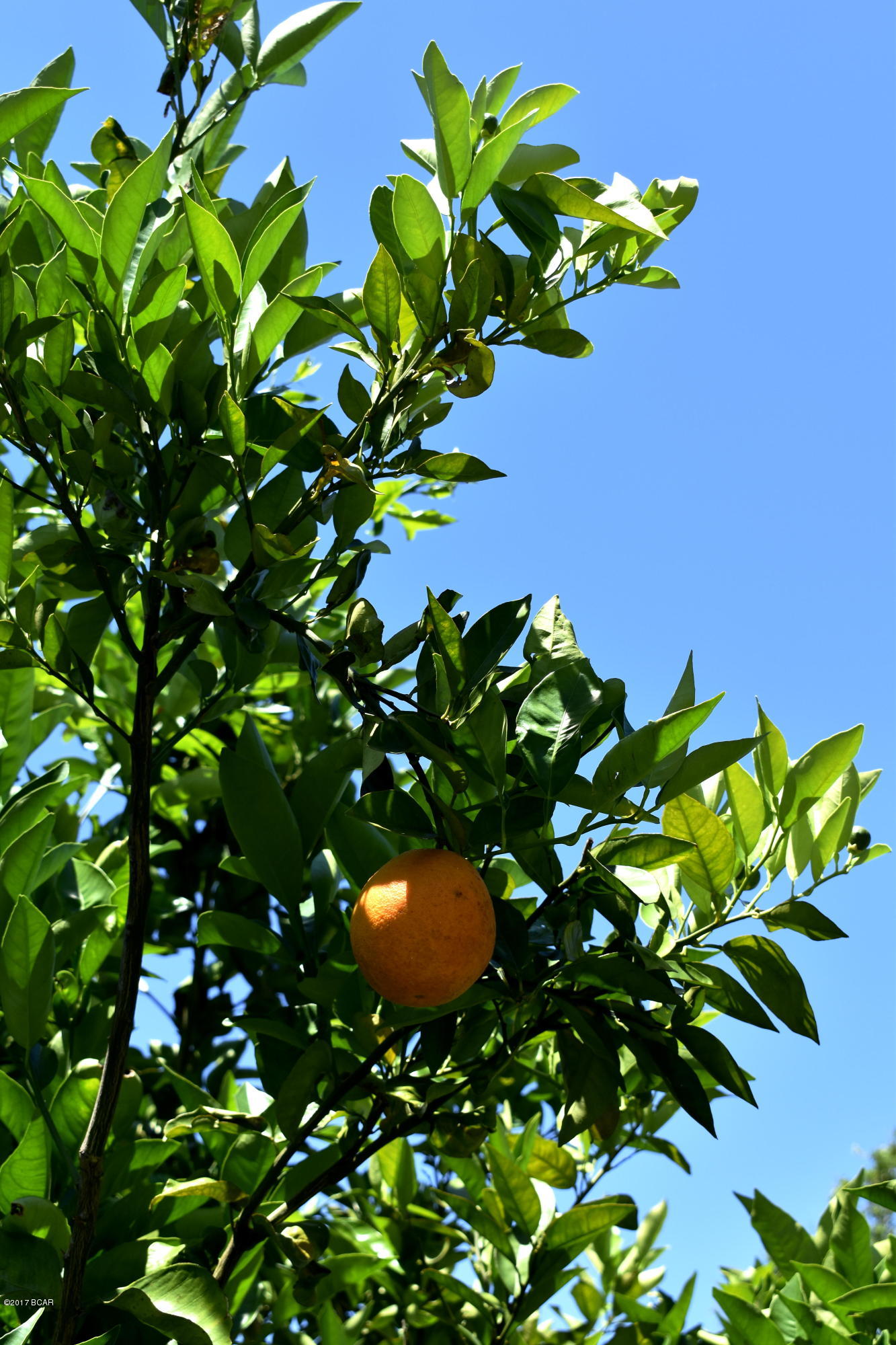 North Star Ests - Residential