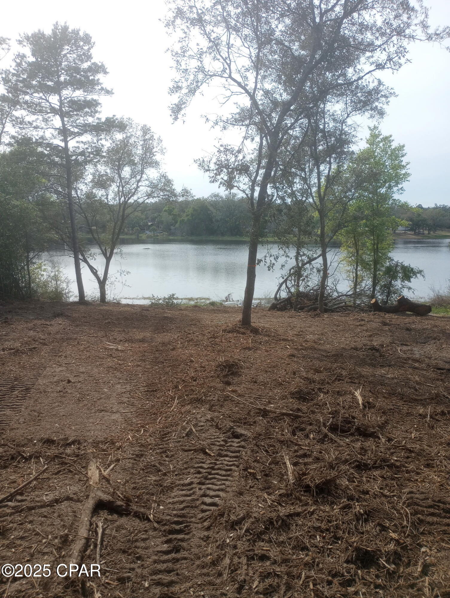 Banks River Lakes - Land