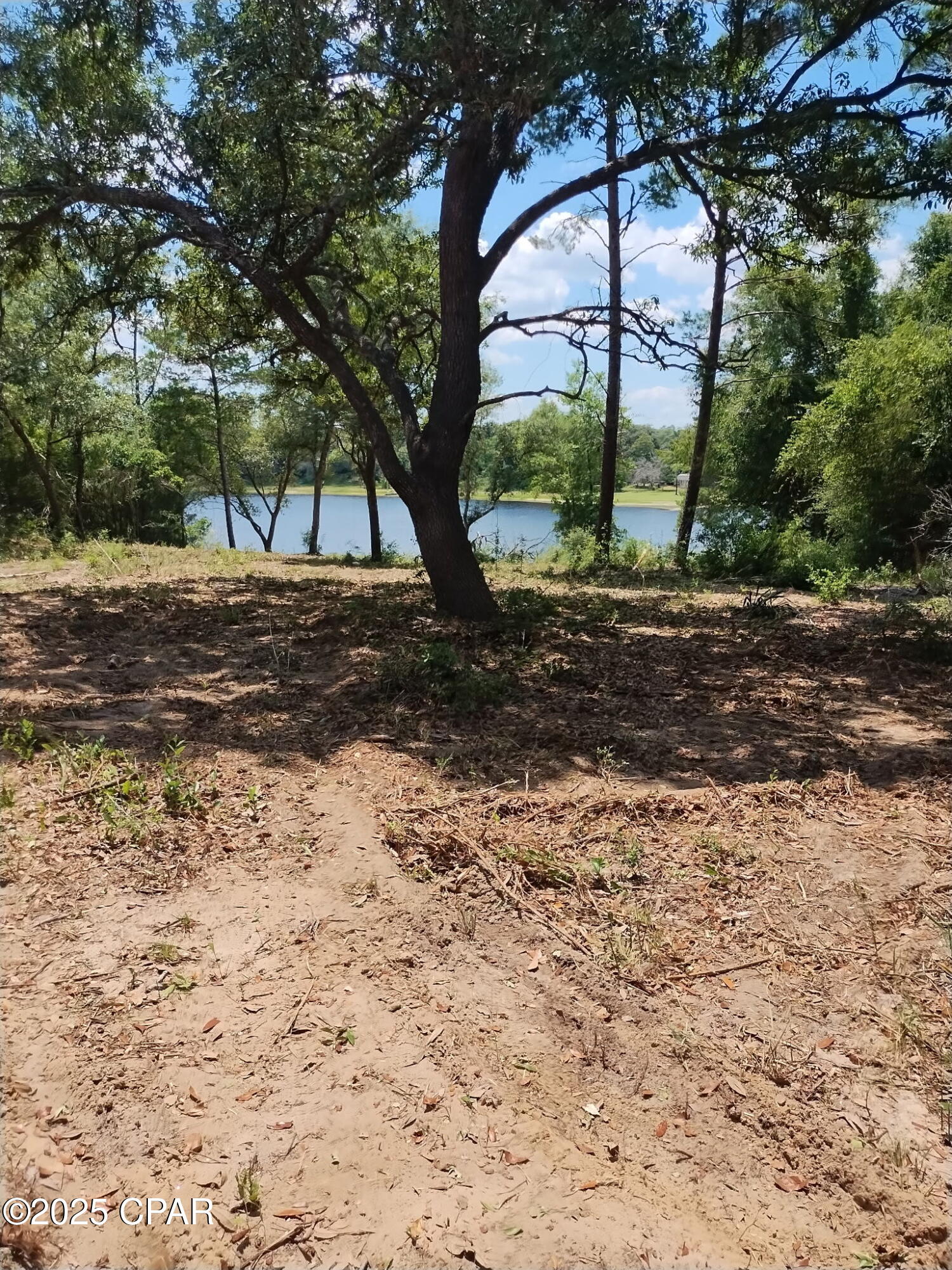 Banks River Lakes - Land