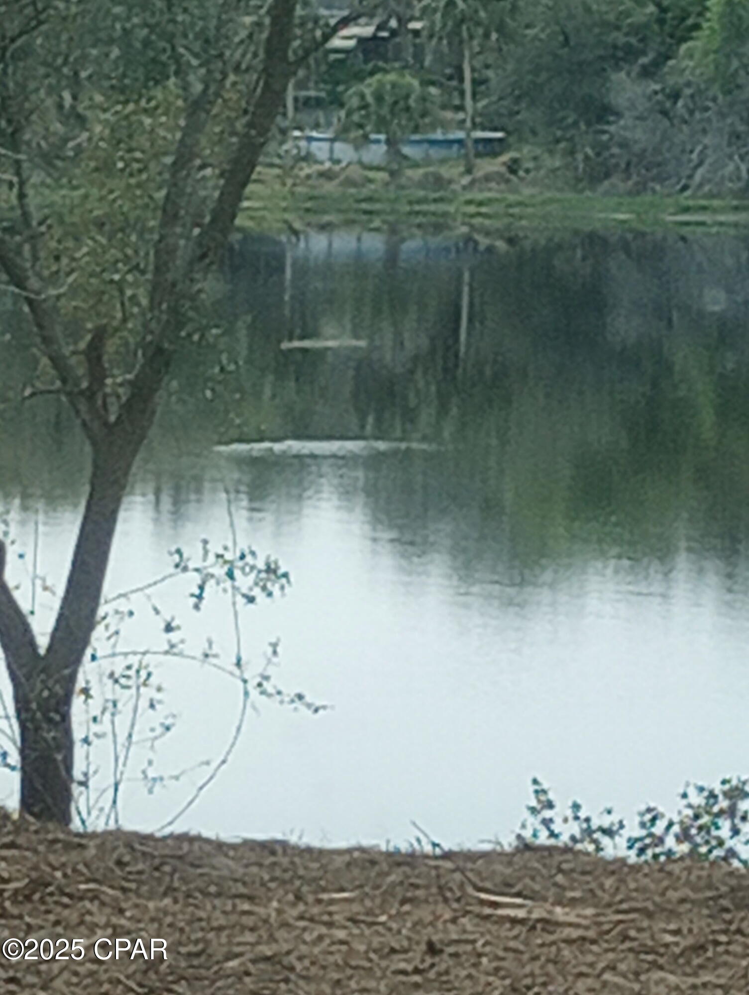 Banks River Lakes - Land