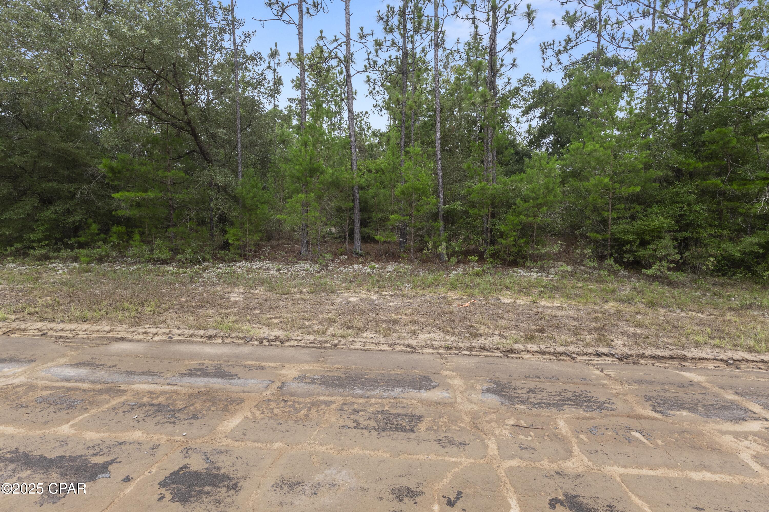 Sunny Hills Unit 1 - Land