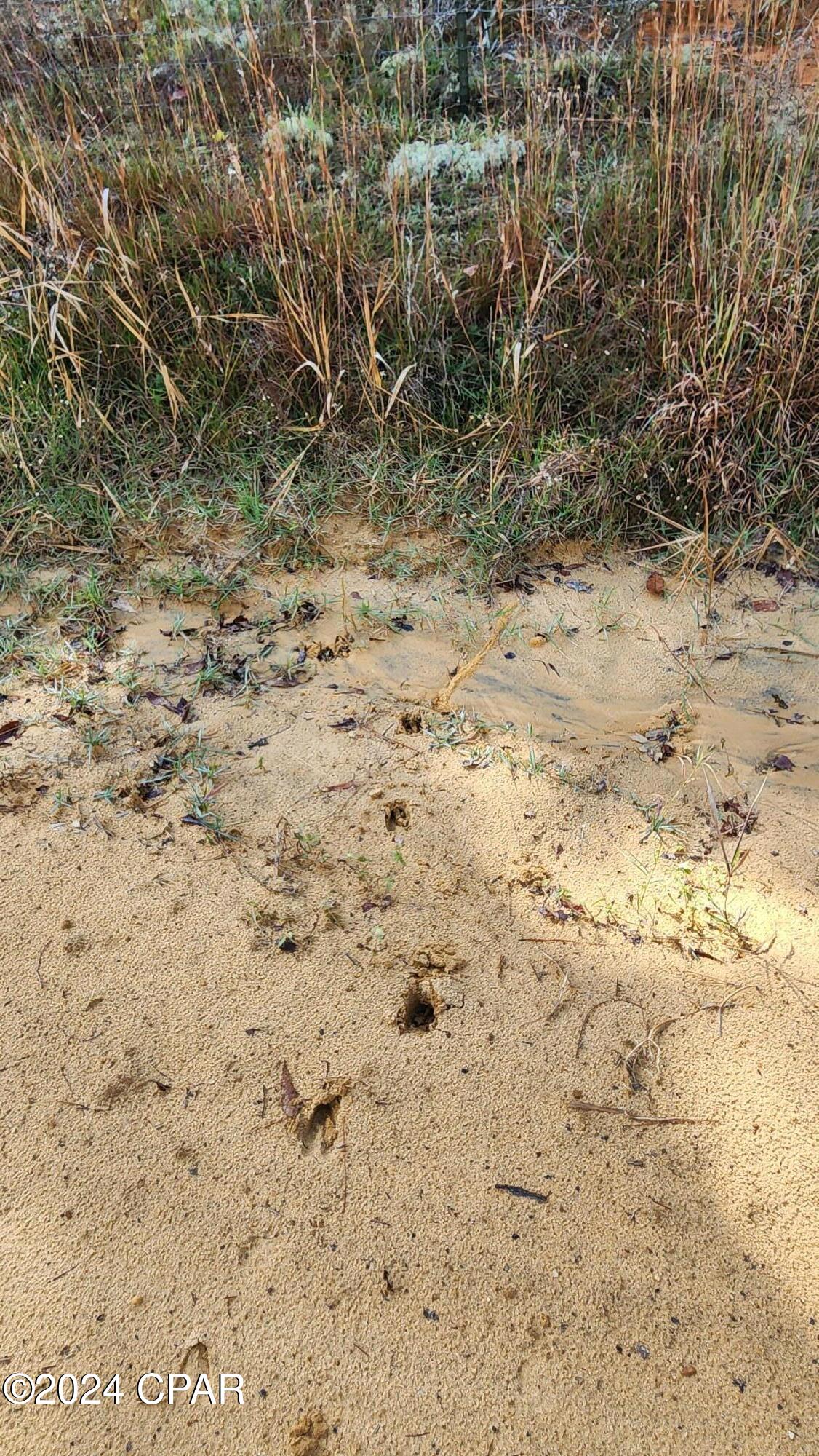 [No Recorded Subdiv] - Land