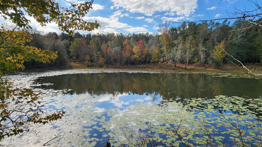 Calling all sportsmen!  This listing is for a 10-acre parcel at the corner of River Rd. and Green Rd in Sneads, FL that is adjacent to Lake Seminole and close to the WMA areas.  5 boat landings are off River Rd.  The 10 acres is completely perimeter fenced with a drive thru gate on Green Rd. and an ATV gate along River Rd.  The property is wooded with mature oaks and long leaf pines that were planted in 2010.  There are atv trails all-round the property that connect and lead to the large pond that borders Green rd. There is a large polebarn that houses an older 2010 travel trailer that is included with the property.  Property has water well but not sure of pump condition.  Property also has 200 amp electric run underground to box and 30 amp ran to rv.  The owner has done many improvements to this property including planting saw tooth Oak trees and the Long Leaf pines to increase the wildlife.  Property has not been used much in the last few years, so it is time for someone else to appreciate it whether for a Sportsmans getaway or build your dream home by the pond.  Property does have deed restrictions. Copy of which is in documents.
