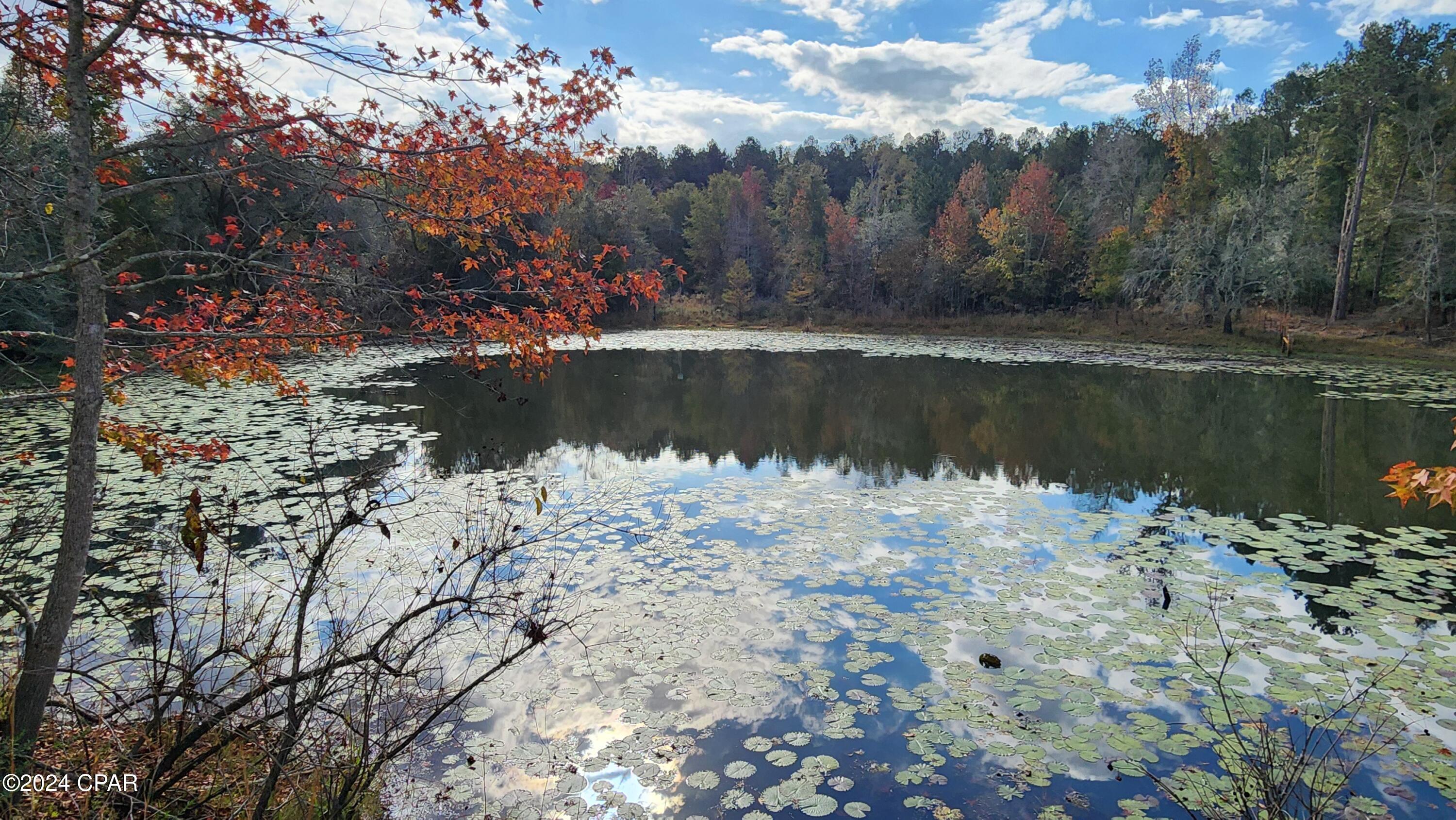 [No Recorded Subdiv] - Land