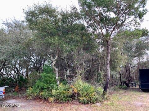 Inlet Beach Heights - Land