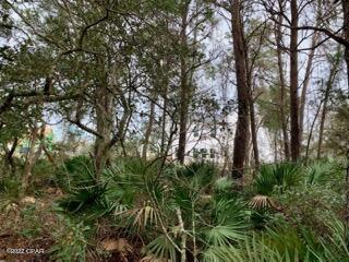 Inlet Beach Heights - Land