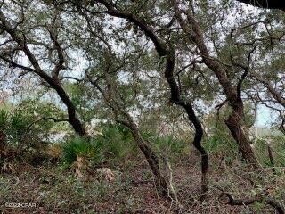 Inlet Beach Heights - Land