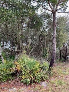 Inlet Beach Heights - Land